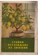 Стайно отглеждане на лимони